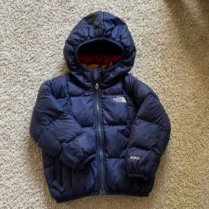Reversible North Face Puffy Coat